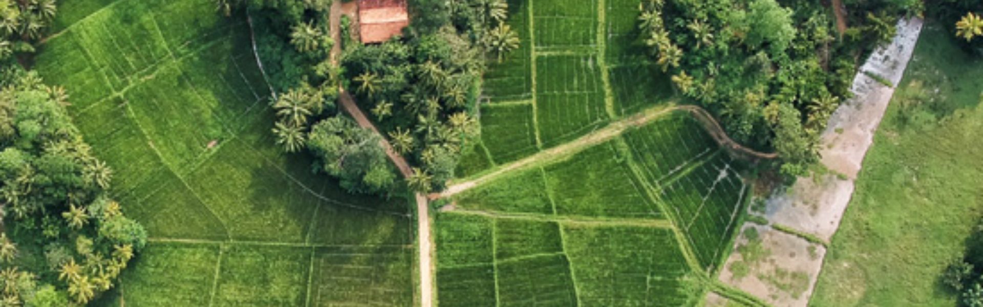 Agriculture & Food Security