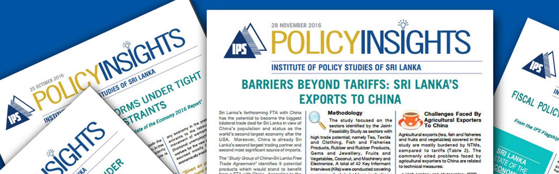 Policy Insights