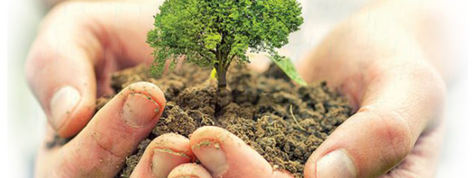 Can Debt-for-Climate and Nature Swaps Help Make Sri Lanka’s Debt More Manageable?