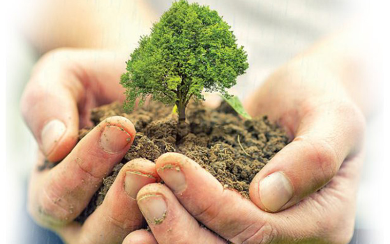Can Debt-for-Climate and Nature Swaps Help Make Sri Lanka’s Debt More Manageable?