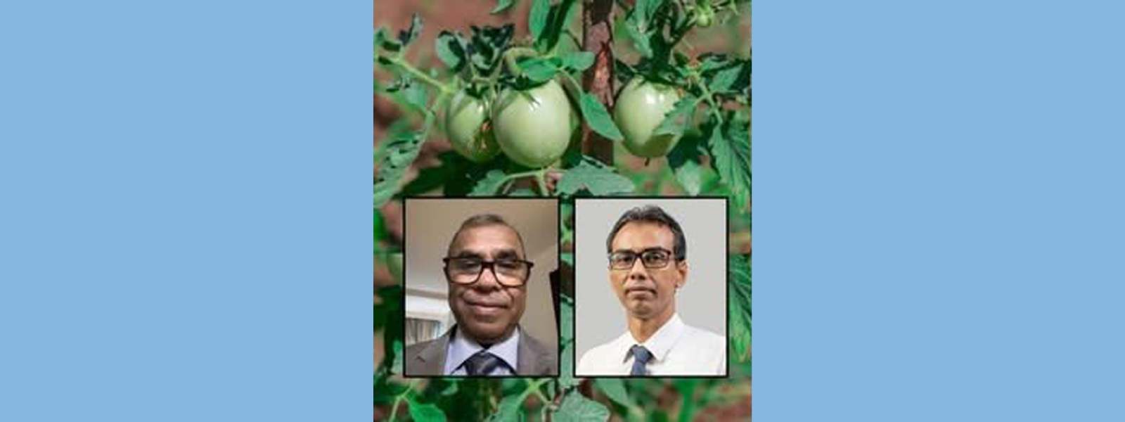 Dr Manoj Thibbotuwawa Shares Insights on Reducing Food Loss in Sri Lanka’s Value Chains