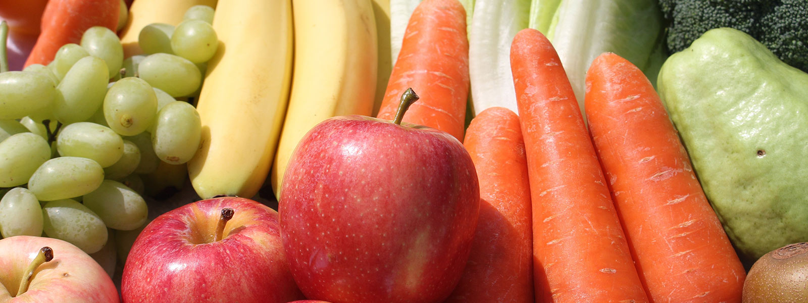 SHAPE-Asia: Hand in Hand for Healthier Diets and Lasting Change
