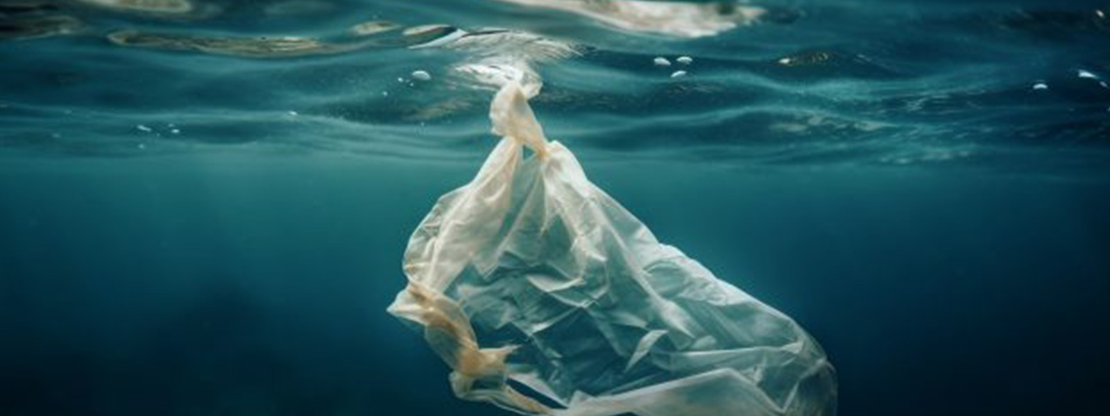 Sri Lanka’s Struggle with Single-Use Plastics: Why Bans Alone Fall Short