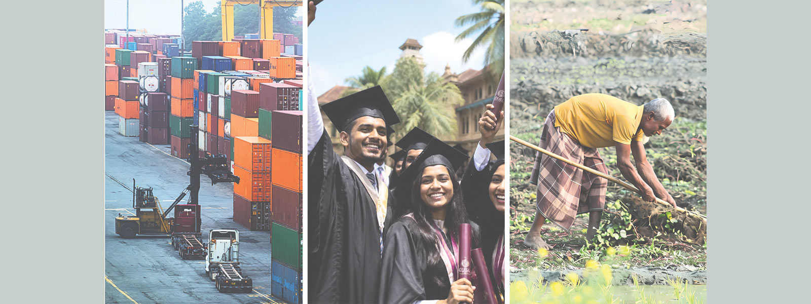 Beyond the Crisis: Sectoral Paths to Durable Growth