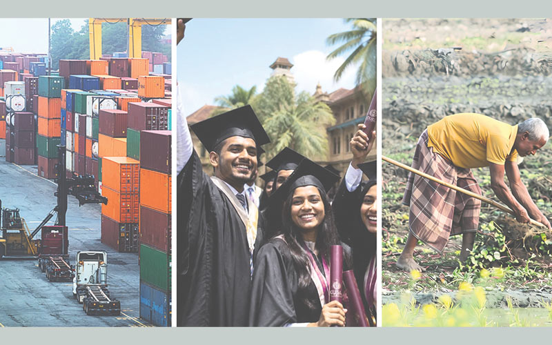 Beyond the Crisis: Sectoral Paths to Durable Growth