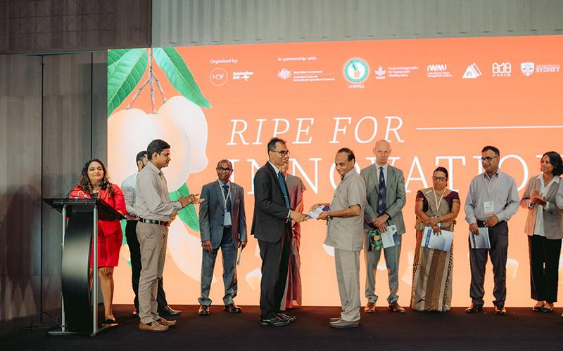 Strengthening Sri Lanka’s Mango Value Chain: IPS Publication Highlights Pathways for Food Loss Reduction