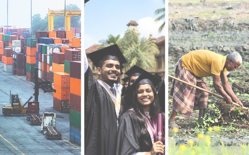 Beyond the Crisis: Sectoral Paths to Durable Growth